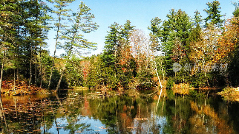 Serene Adirondack Pond Water, Tree Reflection, Fall Shadows, New York